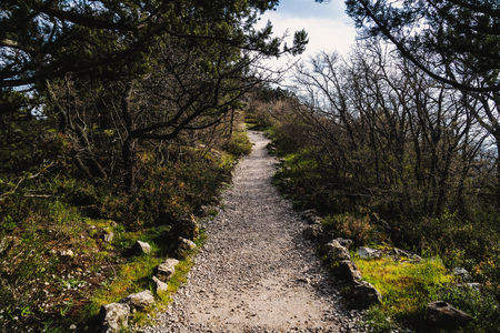 Following Ancient Paths