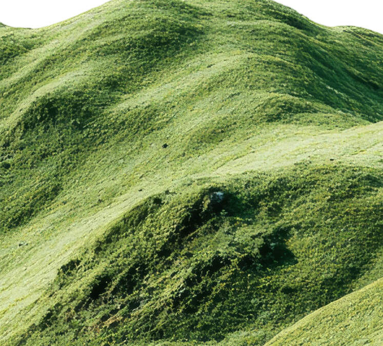 Don’t Die on Every Hill